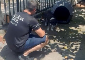 PCPR prende homem por maus-tratos