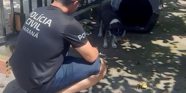 PCPR prende homem por maus-tratos