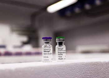 Paraná recebe primeiro lote de vacinas contra a dengue para atender 30 municípios