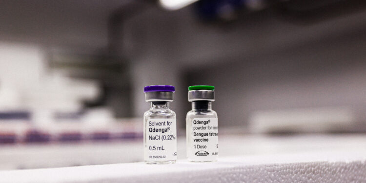 Paraná recebe primeiro lote de vacinas contra a dengue para atender 30 municípios