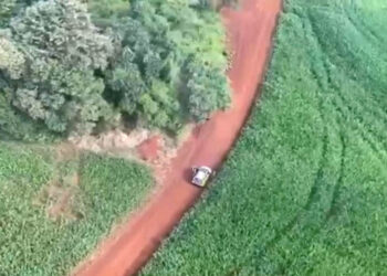 Helicóptero do Projeto Falcão ajuda a localizar criminoso preso pela PM na BR-369