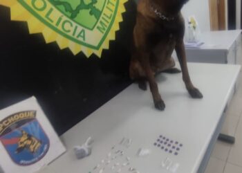Com ajuda de cão farejador, policiais encontram drogas escondidas na Trajano Reis