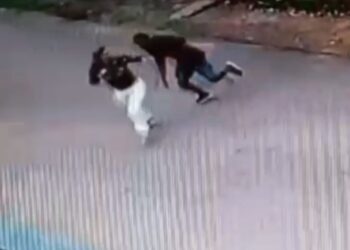 Mulher é atacada por tarado no bairro Sítio Cercado em Curitiba, veja o vídeo