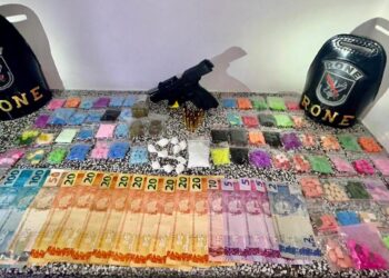 RONE recebe denúncia e derruba biqueira em Pinhais