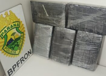 Polícia Militar do Paraná apreende tabletes de cocaína em ônibus de viagem na BR-277