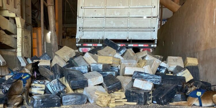 PRF apreende quase 6 toneladas de maconha em meio a carga de soja