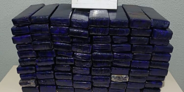 PM apreende quase 50kg de maconha após acompanhamento tático na PR-323