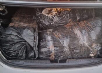 PF prende homem por tráfico de drogas e apreende mais de 400kg de entorpecente