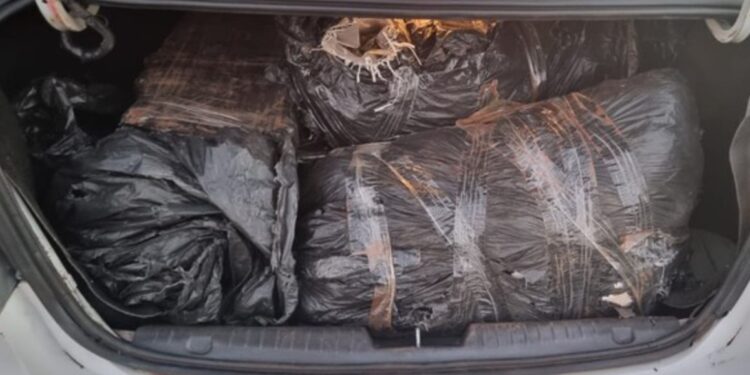 PF prende homem por tráfico de drogas e apreende mais de 400kg de entorpecente