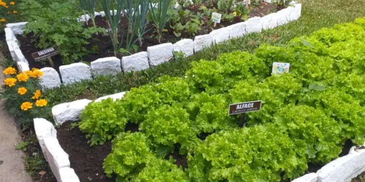 Saúde de Curitiba recomenda atenção aos hábitos alimentares para uma vida saudável