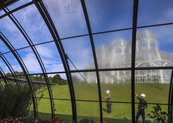 Estufa do Jardim Botânico de Curitiba fecha para limpeza das 3,8 mil peças de vidro e manutenção