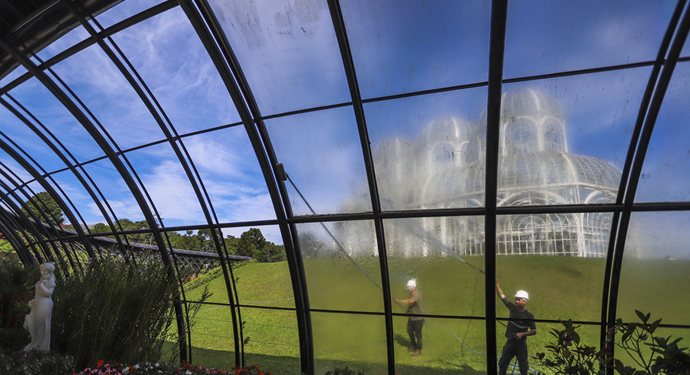 Estufa do Jardim Botânico de Curitiba fecha para limpeza das 3,8 mil peças de vidro e manutenção