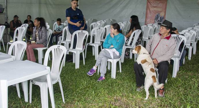 Prefeitura de Curitiba abre agendamentos para mutirão de castração gratuita de cães e gatos