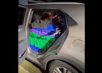 Polícia apreende mais um carregamento de meia tonelada de maconha em Curitiba e usuários se desesperam em “crise do prensado”