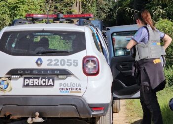 Homem é brutalmente assassinado com pedradas e pauladas na RMC