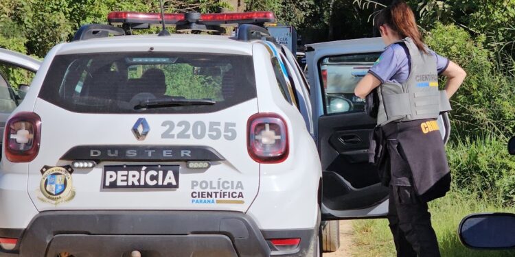 Homem é brutalmente assassinado com pedradas e pauladas na RMC