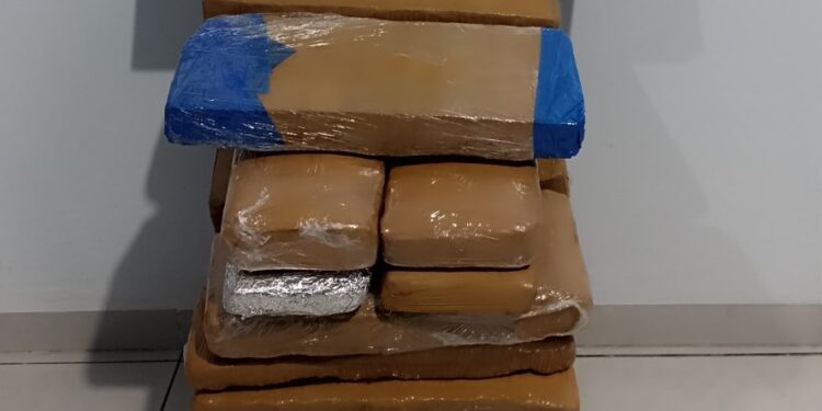 Traficante que levava maconha em ônibus é preso pelo BPFRON