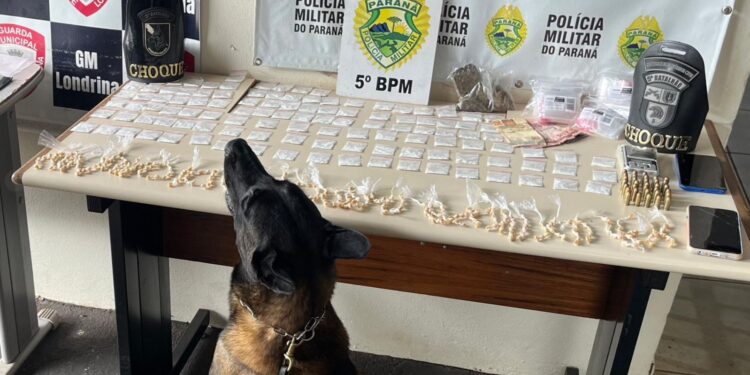 CHOQUE estoura biqueira, encontra drogas e casal é preso