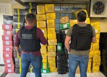 Polícia Civil apreende 2 toneladas de maconha que seriam entregues na região metropolitana de Curitiba