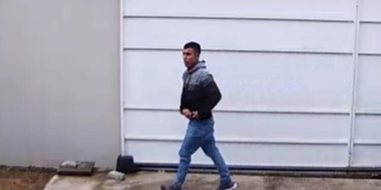 Câmera flagra ação de ladrão de residência em São José dos Pinhais