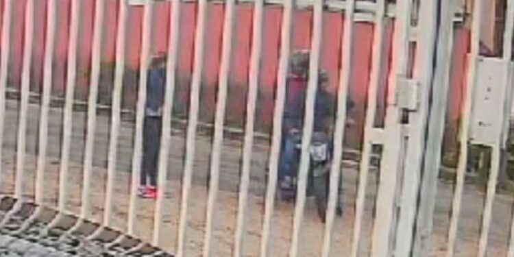 Câmera registra criminosos em moto assaltando mulher em Curitiba, veja o vídeo