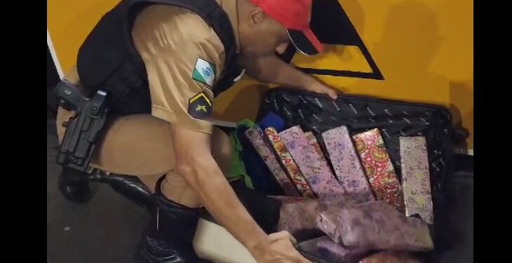 Polícia Militar aborda ônibus e encontra mala de adolescente de 14 anos recheada de maconha, veja o vídeo