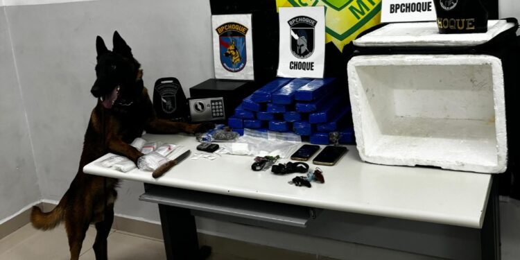 CHOQUE recebe informações e apreende maconha, crack e cocaína em Curitiba; dois foram presos