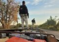 PRF apreende mais um carregamento de maconha de 2,5 toneladas escondido em carreta com carga de soja