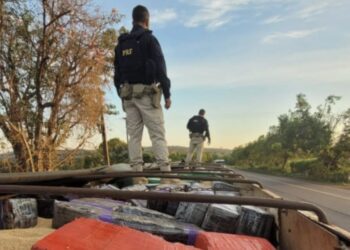 PRF apreende mais um carregamento de maconha de 2,5 toneladas escondido em carreta com carga de soja