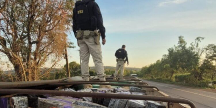 PRF apreende mais um carregamento de maconha de 2,5 toneladas escondido em carreta com carga de soja