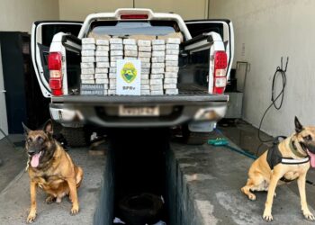 Com ajuda de cães farejadores, Polícia Militar apreende carregamento com 64 quilos de pasta base de cocaína no Paraná