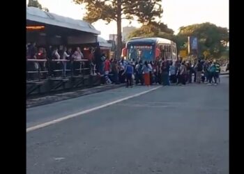 Rapaz que pulou em motorista de ônibus após coletivo não parar em estação tubo é solto da delegacia