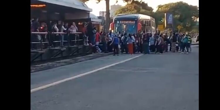 Rapaz que pulou em motorista de ônibus após coletivo não parar em estação tubo é solto da delegacia