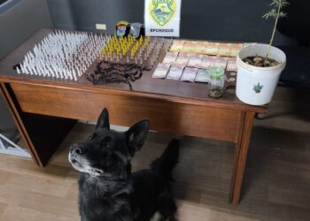 Indivíduo é preso por tráfico de drogas na RMC