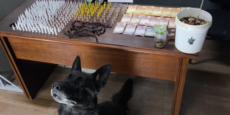 Indivíduo é preso por tráfico de drogas na RMC