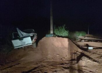 Grande apreensão de drogas é realizada pela PMPR