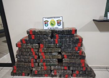 Polícia Militar do Paraná apreende maconha e recupera veículo