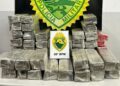 Polícia Militar encontra quase 125 kg de maconha prensada abandonada na Rodoferroviária de Curitiba