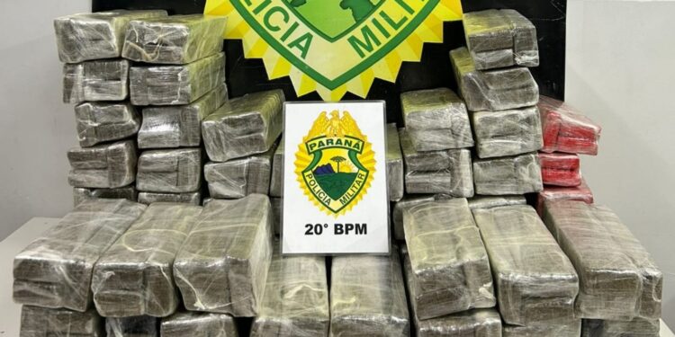 Polícia Militar encontra quase 125 kg de maconha prensada abandonada na Rodoferroviária de Curitiba
