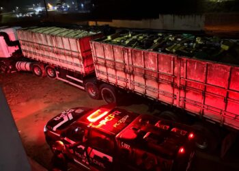 PCPR apreende cerca de duas toneladas de maconha e prende três suspeitos na RMC