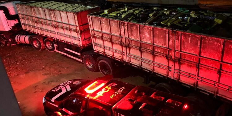 PCPR apreende cerca de duas toneladas de maconha e prende três suspeitos na RMC