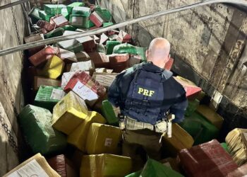 No Paraná, PRF realiza a maior apreensão de maconha do ano no Brasil