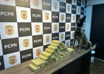 PCPR apreende 41,2 quilos de crack