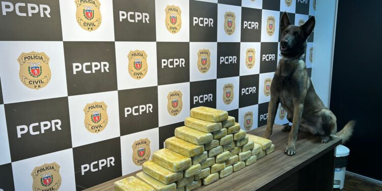 PCPR apreende 41,2 quilos de crack