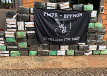 Com apoio de cão, PM apreende 1,5 tonelada de maconha