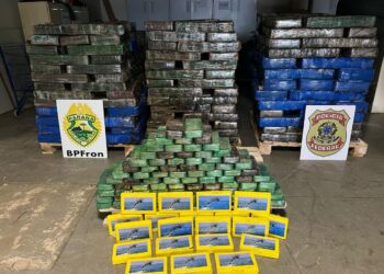 PM e PF apreendem mega carregamento de drogas no Paraná avaliados em mais de R$ 12 milhões de reais