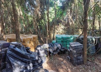 Polícia Federal realiza várias apreensões de drogas no Paraná