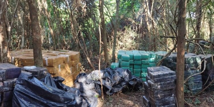 Polícia Federal realiza várias apreensões de drogas no Paraná