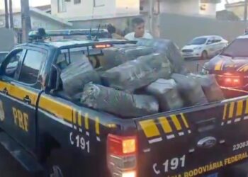 PRF apreende mais um grande carregamento com mais de 2,5 toneladas de maconha