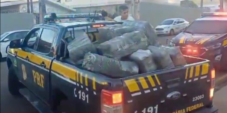 PRF apreende mais um grande carregamento com mais de 2,5 toneladas de maconha